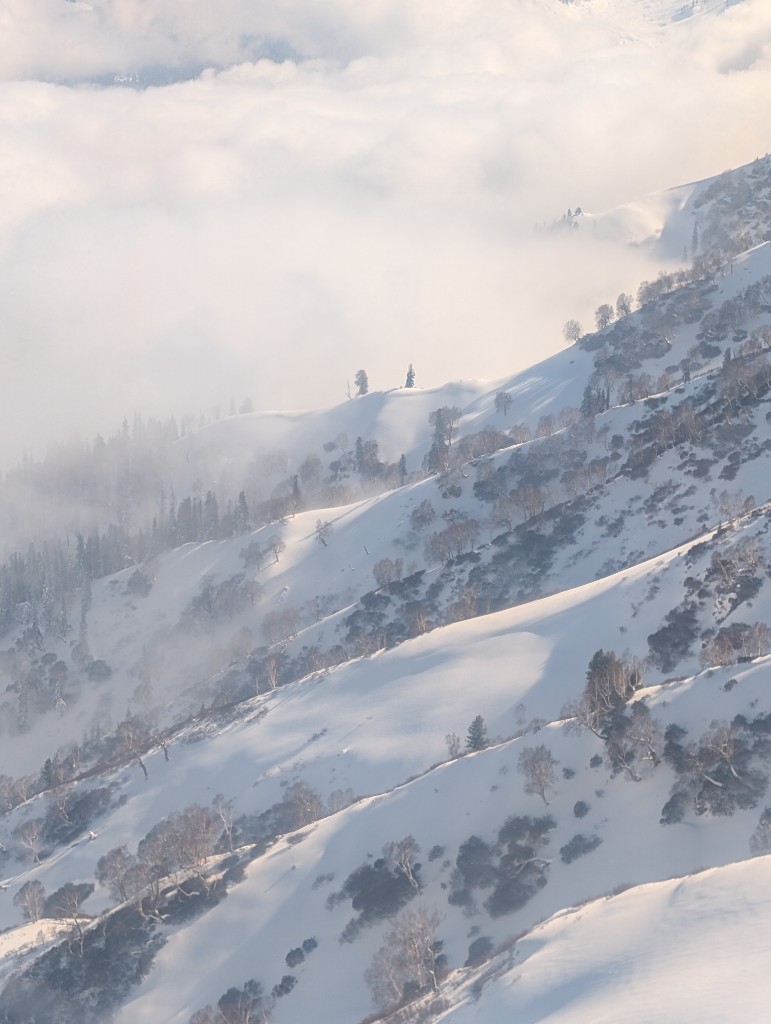 Snowy slopes of Gulmarg